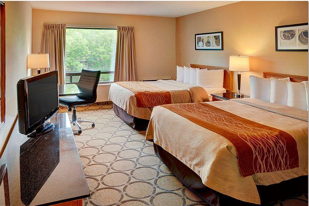 Comfort Inn Σίδνεϊ Εξωτερικό φωτογραφία