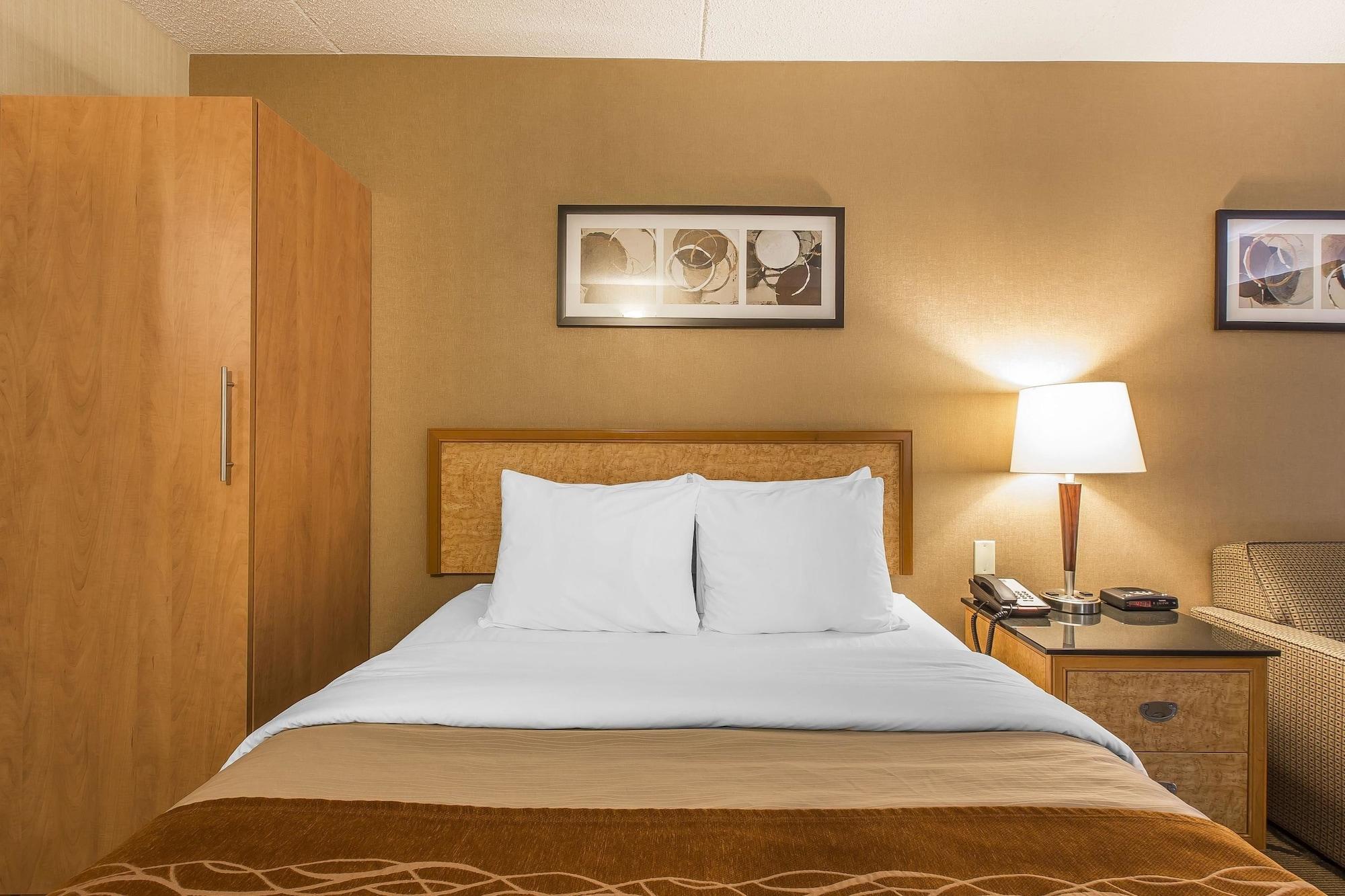 Comfort Inn Σίδνεϊ Εξωτερικό φωτογραφία
