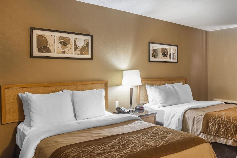Comfort Inn Σίδνεϊ Εξωτερικό φωτογραφία