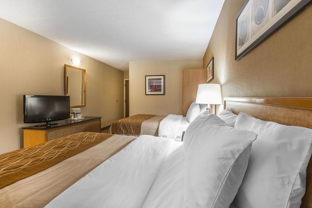 Comfort Inn Σίδνεϊ Εξωτερικό φωτογραφία