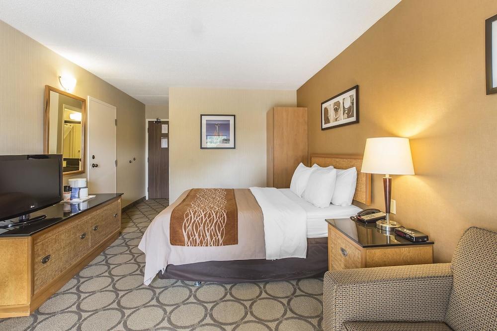 Comfort Inn Σίδνεϊ Εξωτερικό φωτογραφία