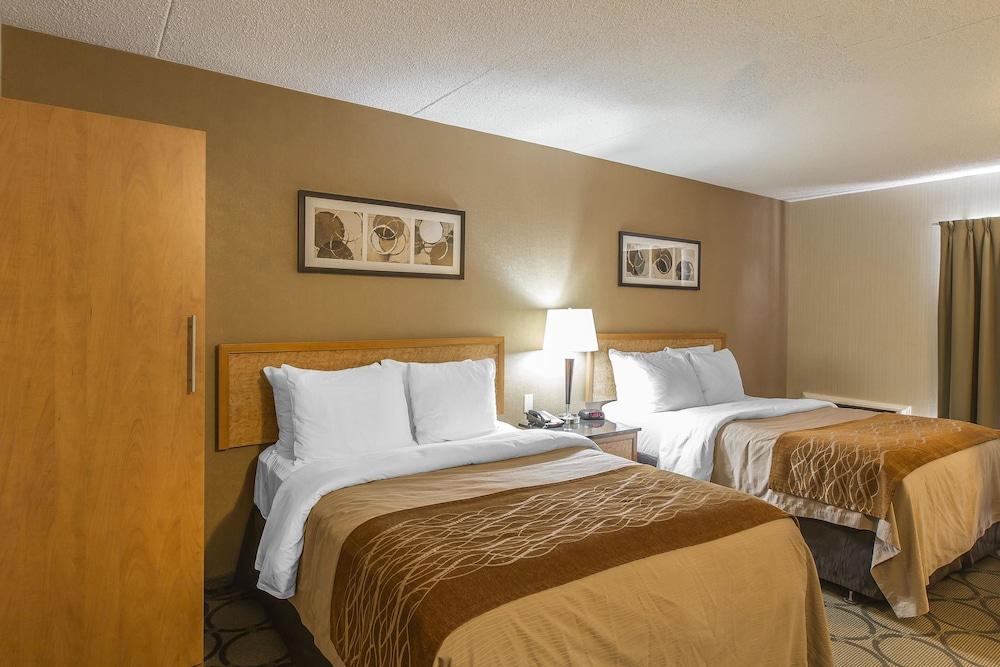 Comfort Inn Σίδνεϊ Εξωτερικό φωτογραφία