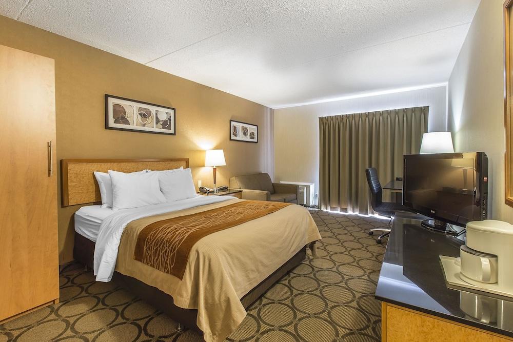Comfort Inn Σίδνεϊ Εξωτερικό φωτογραφία