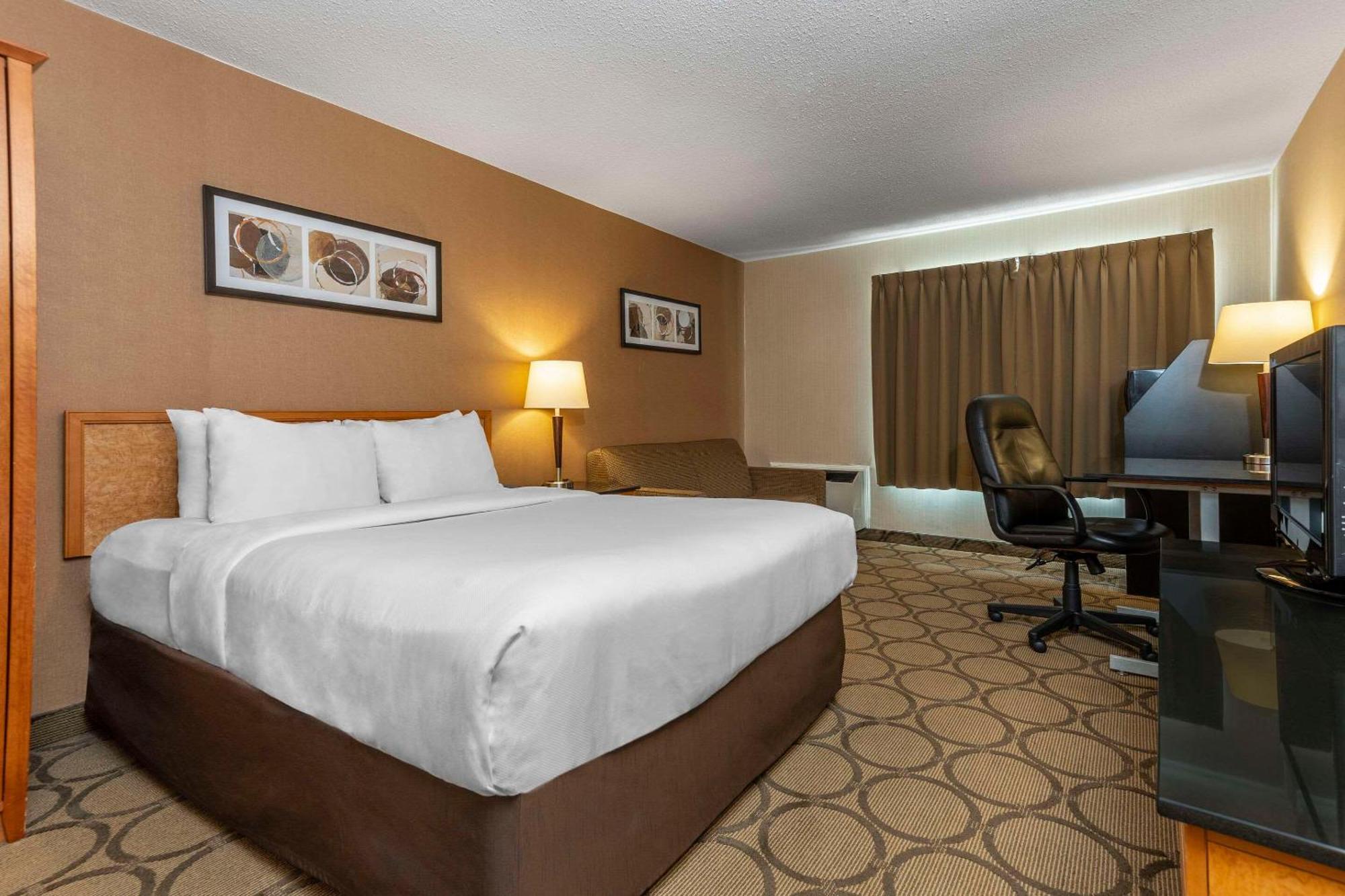 Comfort Inn Σίδνεϊ Εξωτερικό φωτογραφία