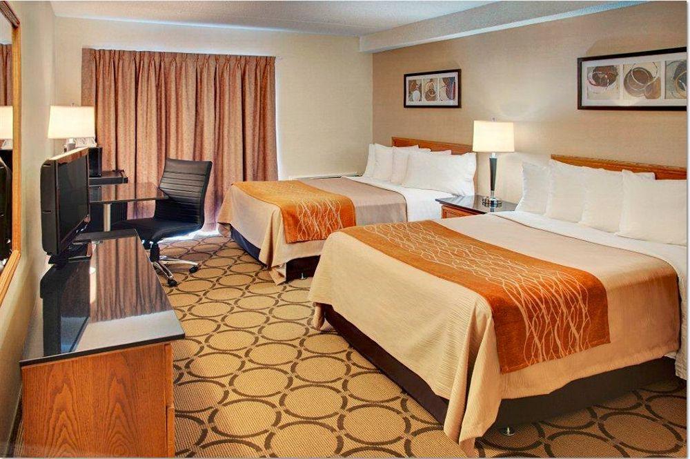 Comfort Inn Σίδνεϊ Εξωτερικό φωτογραφία
